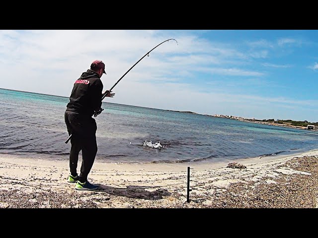 Surfcasting ¡Pesca en la playa como un pro! - Martí Blog