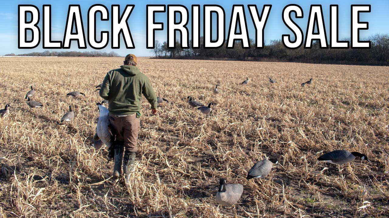 Goose Decoy Black Friday Sale!!! YouTube