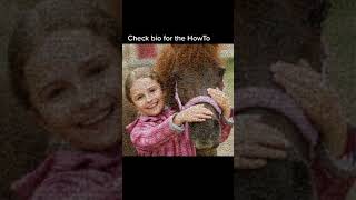 Horse Photomosaic created with EasyMoza