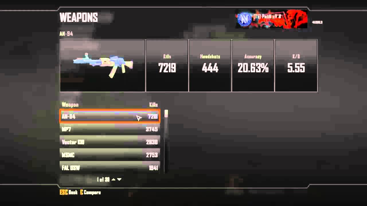 Bo2: Combat Record Video | [TE] PaiiN nV