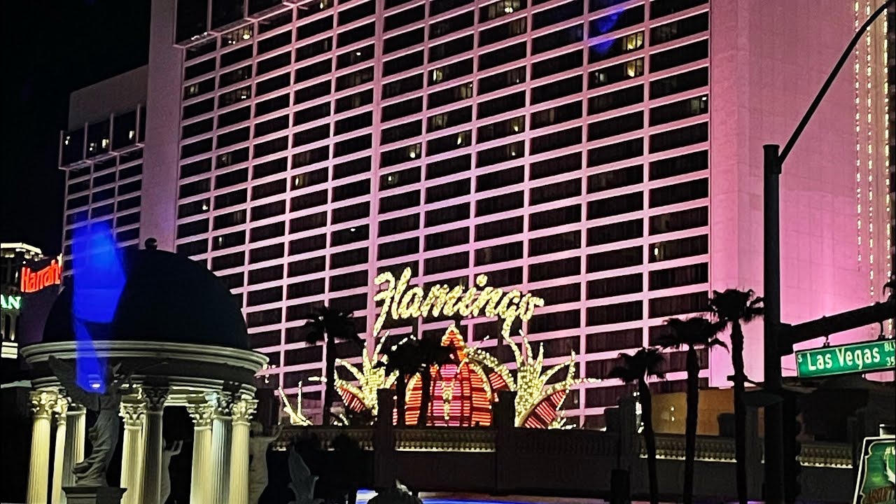 FLAMINGO LAS VEGAS POOL 👙  Flamingo Pool Go Pool Dayclub & Beach Club  Best Pools in Las Vegas 2021 