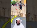 الرحمة على مخلوق ضعيف باب لرحمة الله فمن طرقه لن يضي ع الله خطاه لايك اكسبلور Shorts الرحمة على مخلوق ضعيف باب لرحمة الله فمن طرقه لن يضي ع الله خطاه لايك اكسبلور Shorts