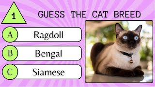 Ultimate Cat Breed Quiz: Guess the Feline Face-off!