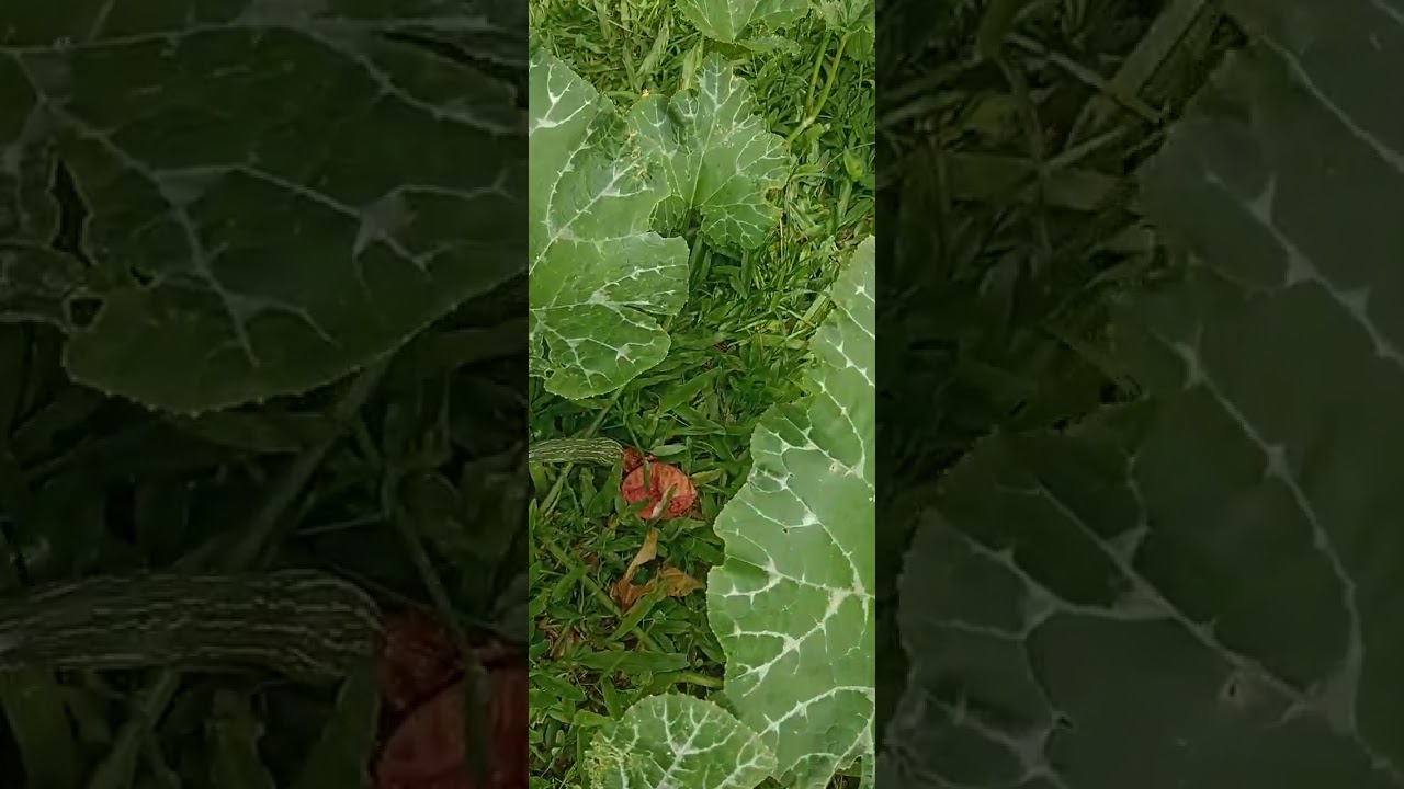 22 de fevereiro de 2026