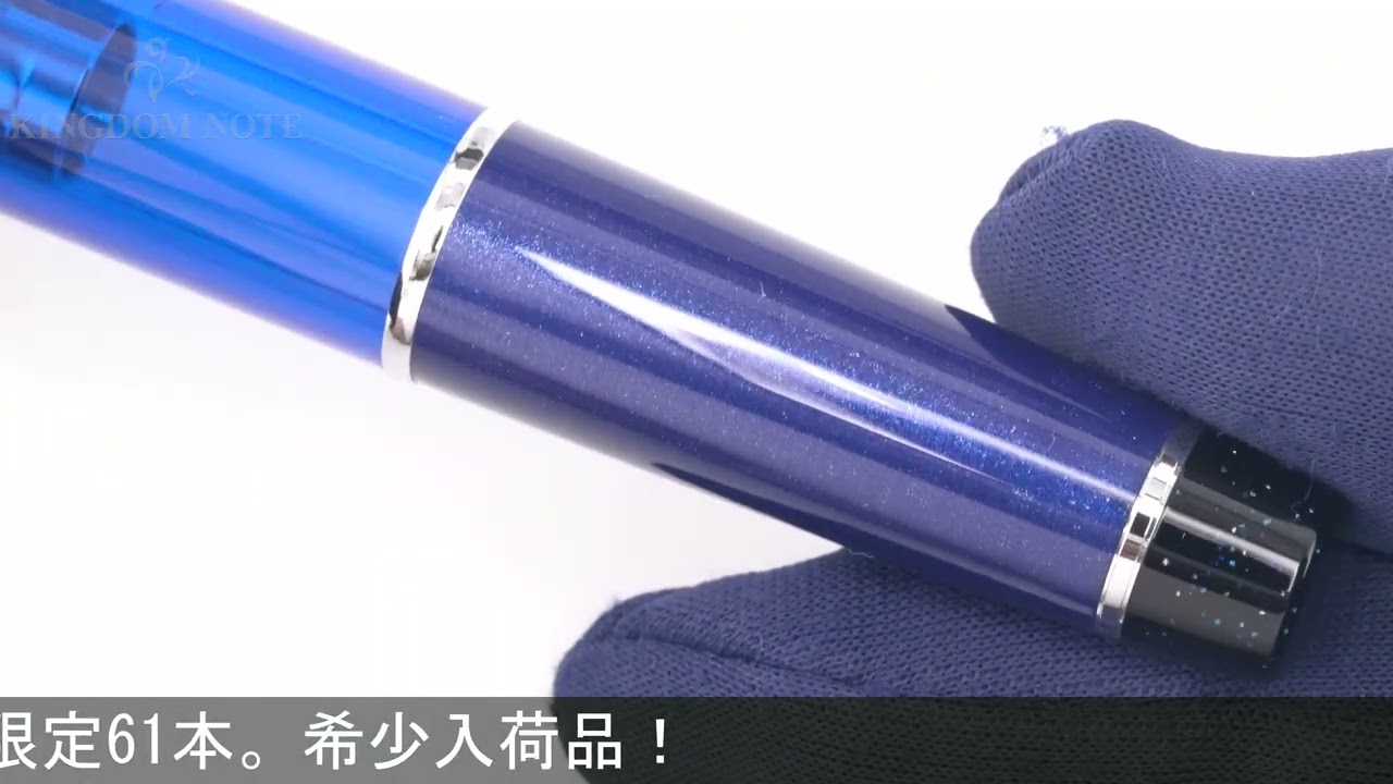 SAILOR セーラー 万年筆 うさぎやオリジナル プロフェッショナルギア