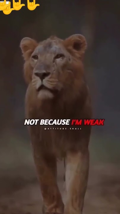 Silent Is Not My Weakness YouTube silent-is-not-my-weakness-youtube
