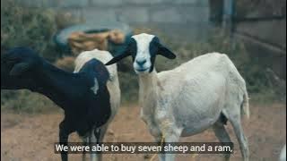 A New Beginning Through CARE’s Food-for-Training Prgram in Lahj Governorate.