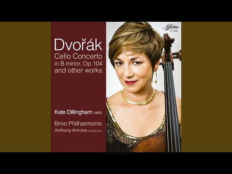 Cello Concerto in B Minor, Op. 104, B. 191: II. Adagio ma non troppo