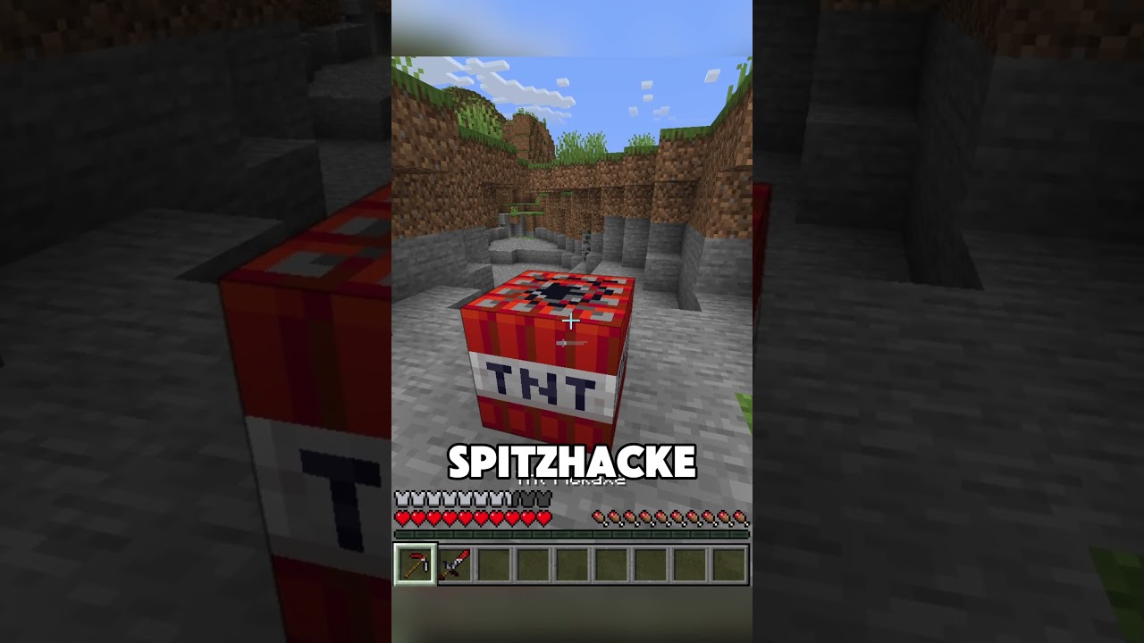 Minecraft aber ALLES hat ne RÜSTUNG😂👌 