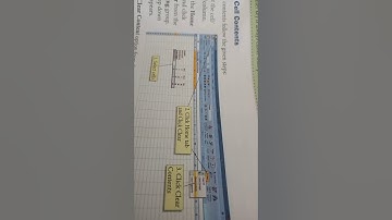 Class-6 Computer Chapter-6 Part-5  Introduction to MS Excel(Deleting Cell Contents)