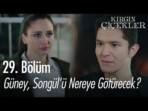 Güney, Songül'ü nereye götürecek? - Kırgın Çiçekler 29. Bölüm