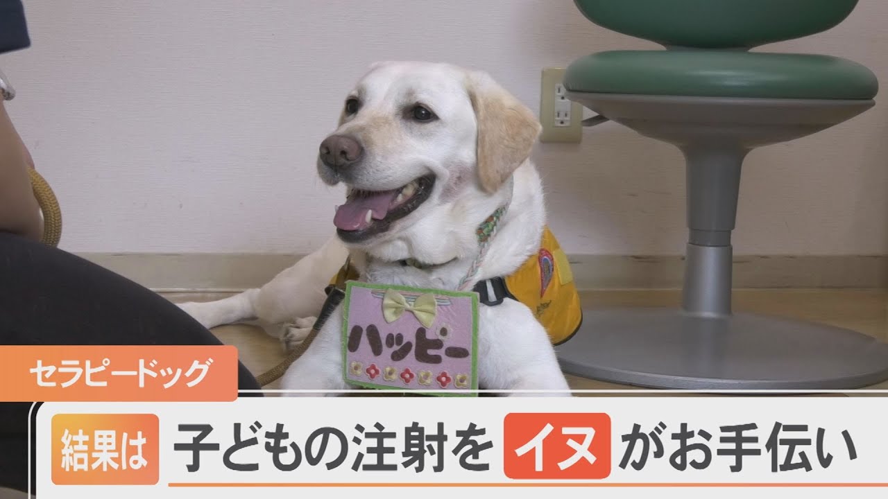 子どもたちが泣かずに注射！小児科診察室にワンちゃんがやってきた