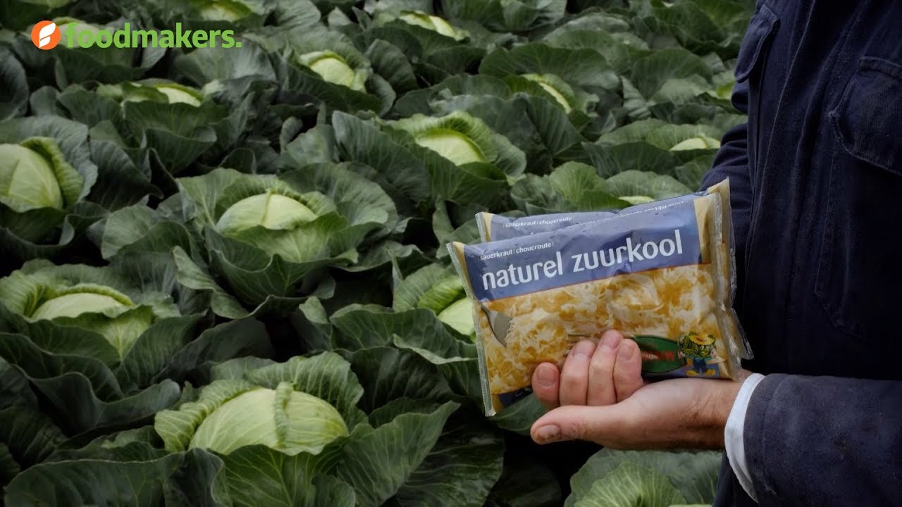 Hoe wordt zuurkool zuur? YouTube
