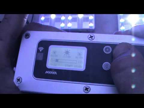 Led verlichting zeeaquarium - YouTube Led verlichting zeeaquarium - YouTube