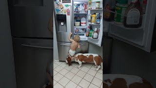 Little Boy and Basset Hound Tag Team to Get Food || ViralHog