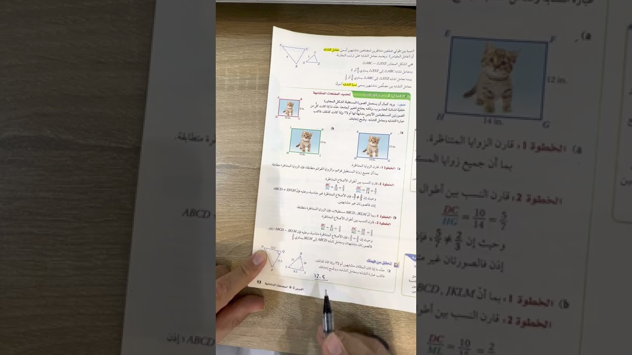 مراجعة الباب السادس (التشابه)