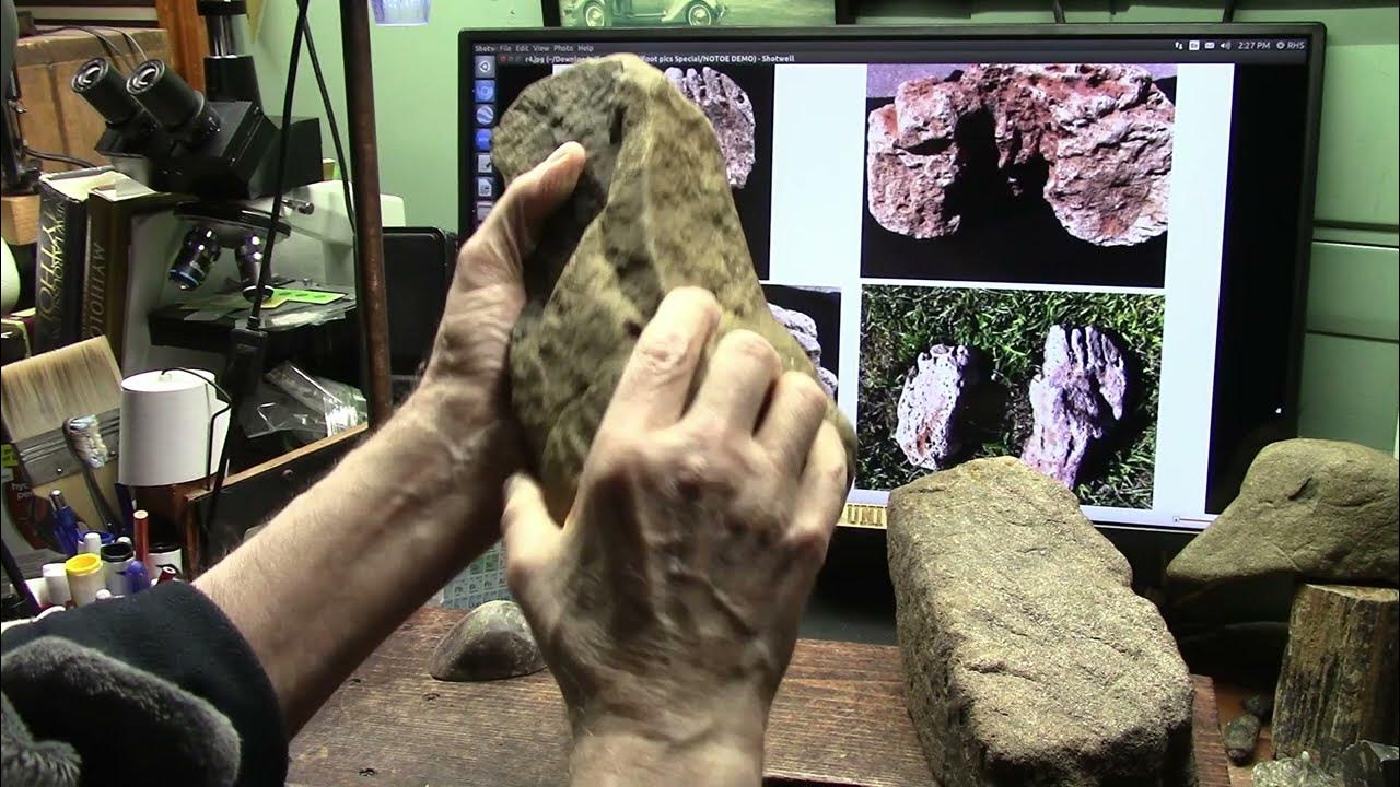 Soft Tissue Microscopic Fossil Examination of Several Types of Ancient