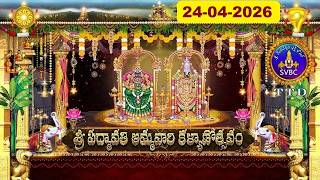 Sri Padmavathi Ammavari Kalyanotsavam || Tiruchanoor || 24-04-2026 || SVBC TTD
