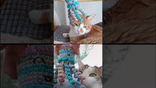 Make a cute crochet octopus cat toy with this easy amigurumi pattern! 🧶