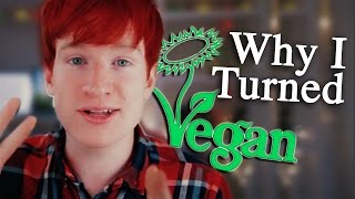 Why I Turned Vegan...