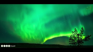 اجمل الآيات - قَالَ كَلَّا ۖ إِنَّ مَعِيَ رَبِّي سَيَهْدِينِ - ناصر القطامي