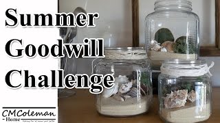 $5 Dollar Goodwill Challenge - Summer 2016