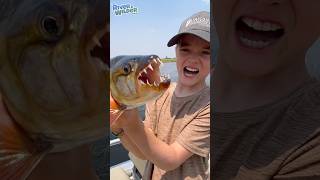 TIGER FISH! Fishing near Crocodiles and Hippos in Africa! - River &amp; Wilder Show