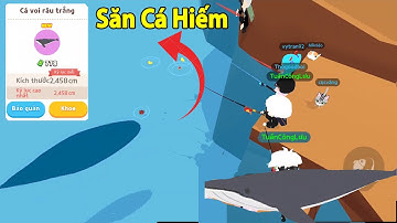 Play Together | Vị Trí Câu Cá Hiếm Mới - Cách Câu Cá Voi Râu Trắng - Toàn Cá Khủng Cắn Phê Quá Trời