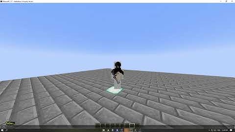 Skript #1 Commands and Variables