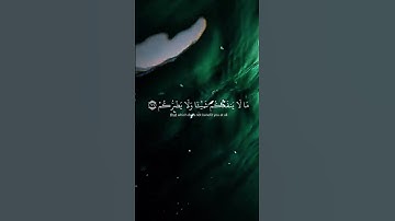 افتح يومك بنور القرآن.. تلاوة تهز قلبك وتشرح صدرك 🌅✨
