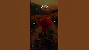 سورة الضحى تلاوة خاشعة بصوت جميل من يعرف اسم المقرئ يكتبه في التعليقات