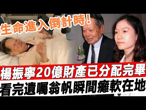 百岁杨振宁入院抢救，生命进入倒计时！20亿财产已分配完毕，看完遗嘱翁帆瞬间瘫软在地，万万没想到他真的这么做了！#星娛樂#