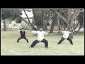 Taichi chuan style chen 8 mouvements