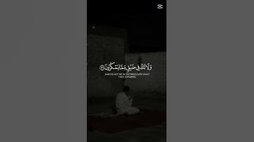 القرآن القرآن الكريم بصوت تقشعر له الأبدان