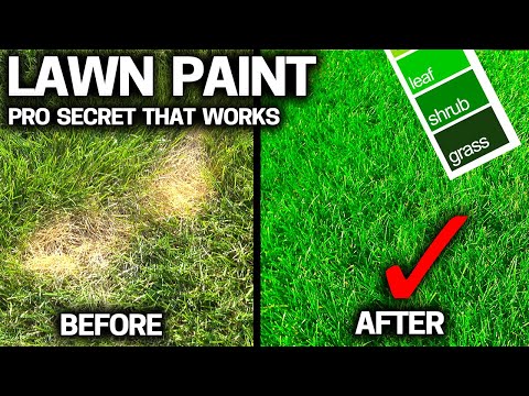 Video: Što je oslikavanje travnjaka - Naučite kako obojiti travnjak