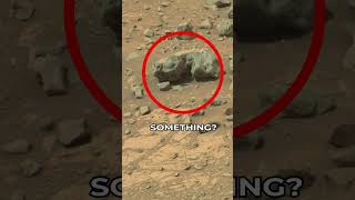 Mars Rover Curiosity SOL 0924 (2) | quicksolutions-data Net Worth