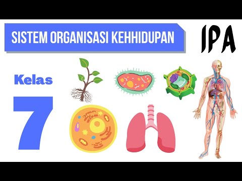 SISTEM ORGANISASI KEHIDUPAN : IPA KELAS 7 SMP