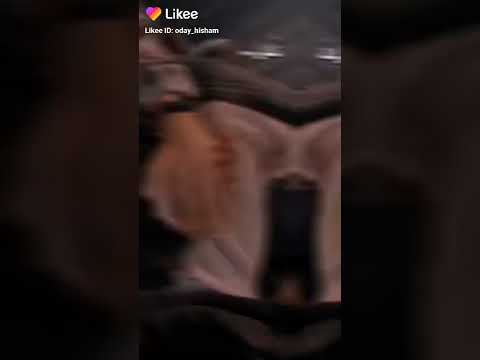 كل غالي يهون ياحبيبي فداك حالات واتس اب حب اليسا