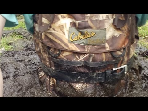 Stuck In The Mud - Previous Live stream. - Mud Mate has surely done it now! With all that Mucking about in chest waders, The Mud finally caught him.