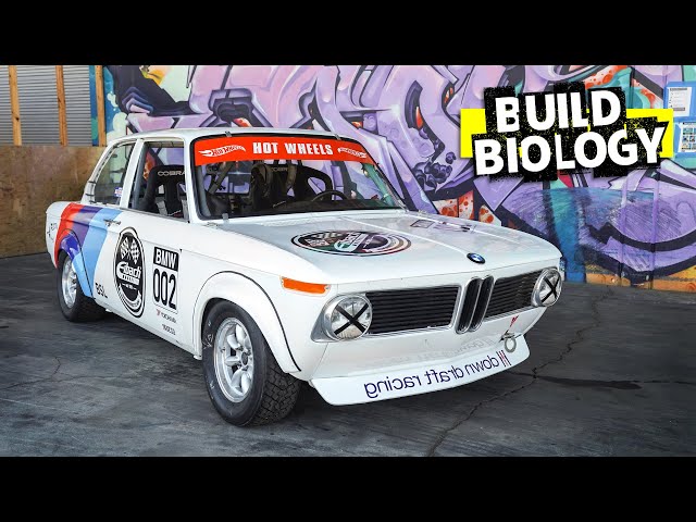 Bmw 2002 Race Interior