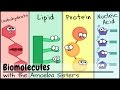 Biomolecules (Updated)