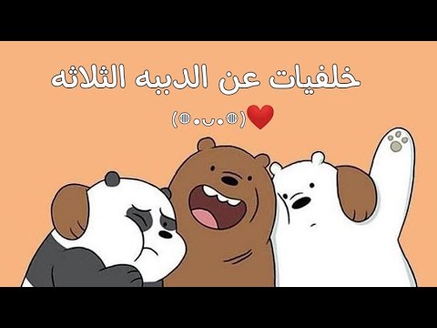 خلفيات عن الدببه الثلاثه