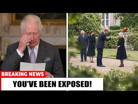Princess Anne CONFRONTS Camilla's SHOCKING Plot! Charles LEFT Shattered As William Takes Her Down!