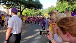 LSU TIGER BAND