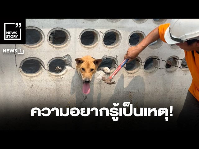 ความอยากรู้เป็นเหตุ! : [News Story]