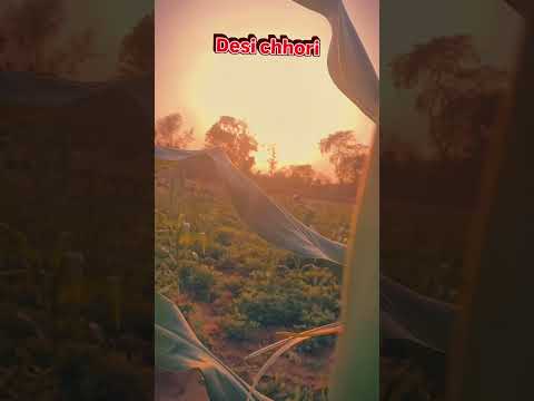#viralvideo #automobile #farmingsimulator #dasibalak