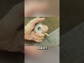 This Pocket-Sized Device Was Engineered for Shipwreck Survival