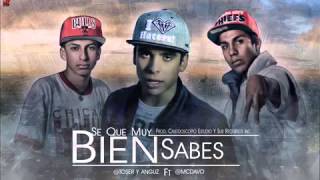 se que muy bien sabes-toser y anguz ft mcdavo-el mismo dueto