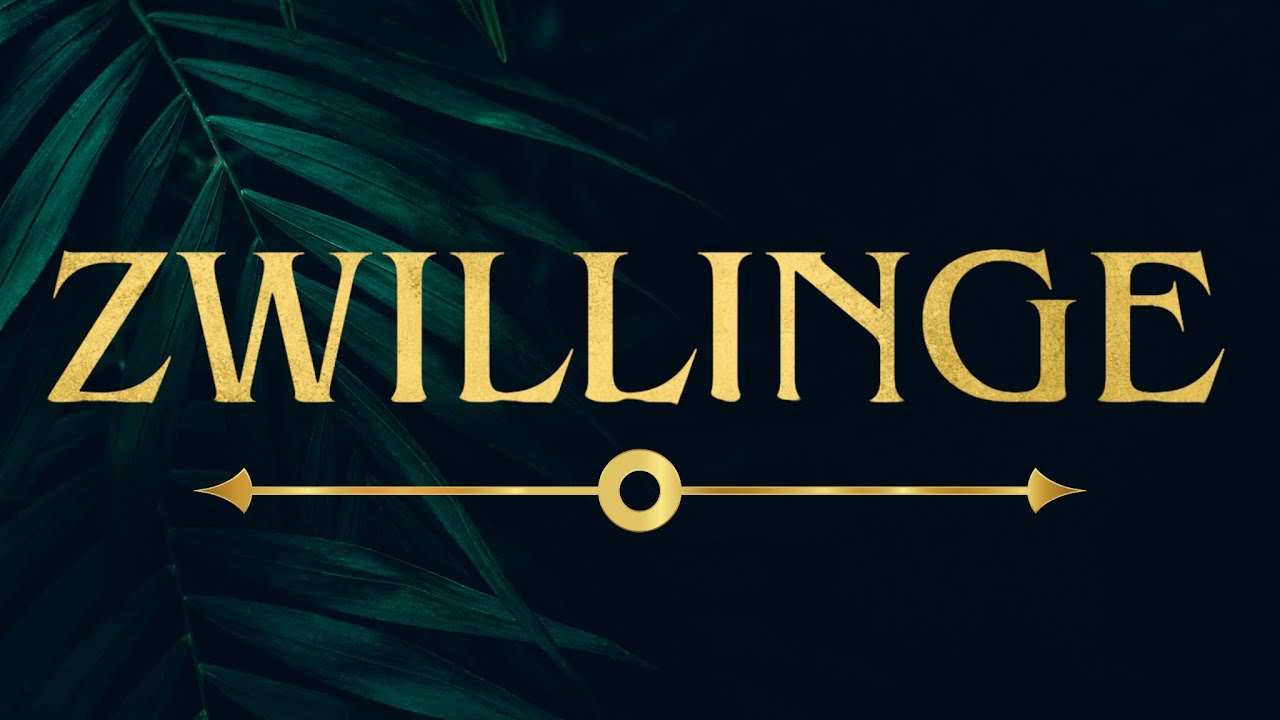 ⚔ ZWILLINGE ⚔  | Mach es ! Dich erwartet großes