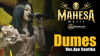 Video voorbeeld van "DUMES  AYU  CANTIKA MAHESA MUSIC DHEHAN AUDIO"